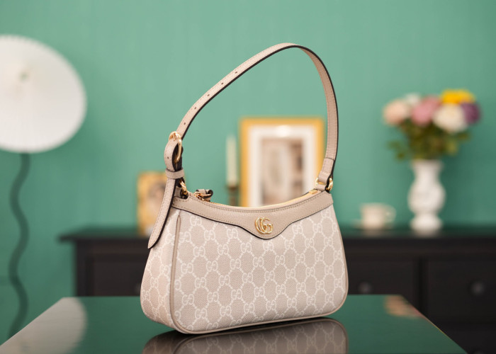 C0a*h BAG B0113-241