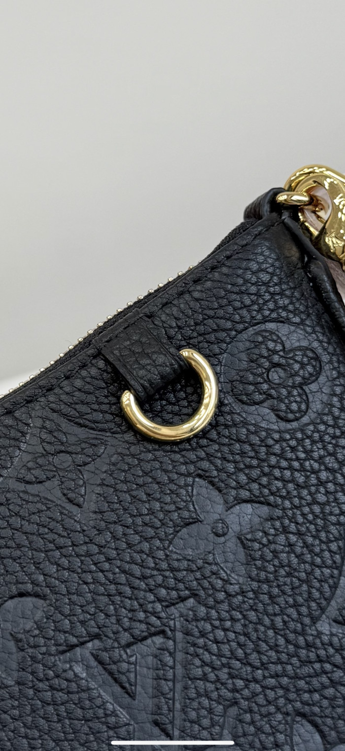 1V BAG B0113-239