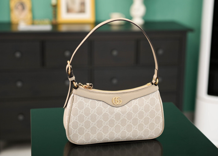 C0a*h BAG B0113-241