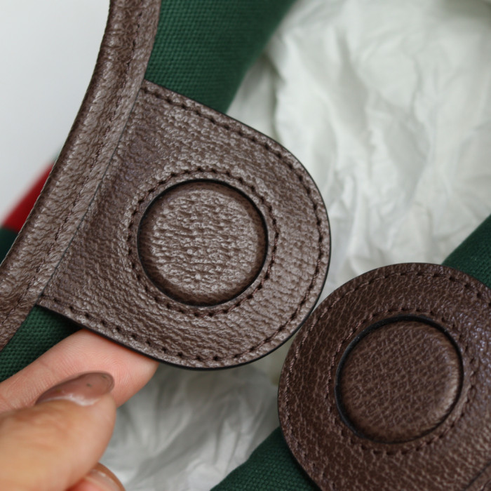 Gv*c1 BAG B0113-674