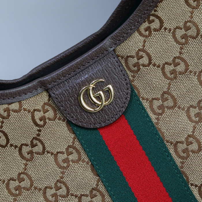 Gv*c1 BAG B0113-674