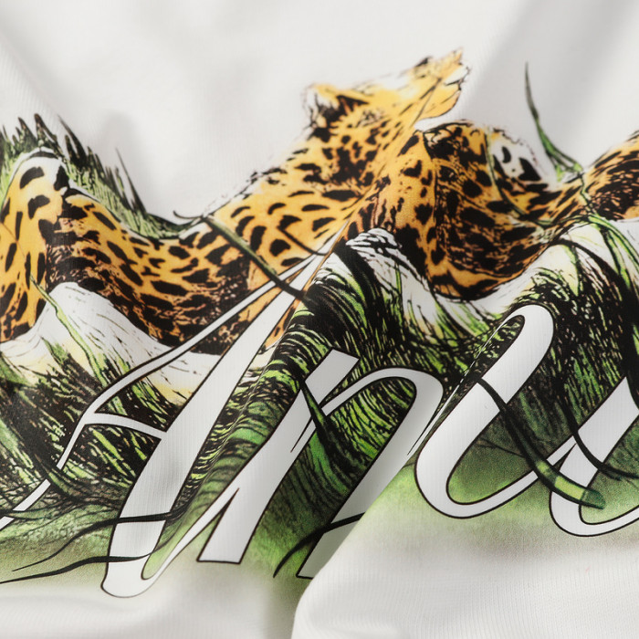 am1r1 am229-019