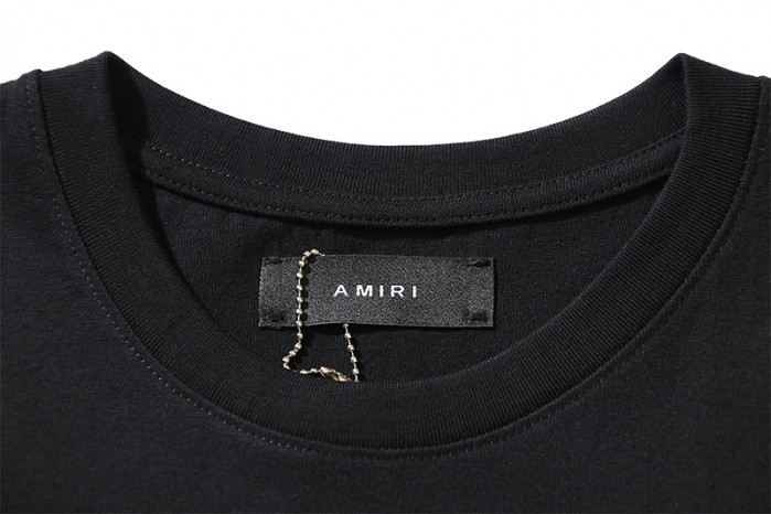am1r1 am229-042