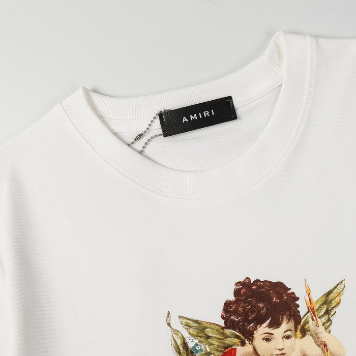 am1r1 am229-025