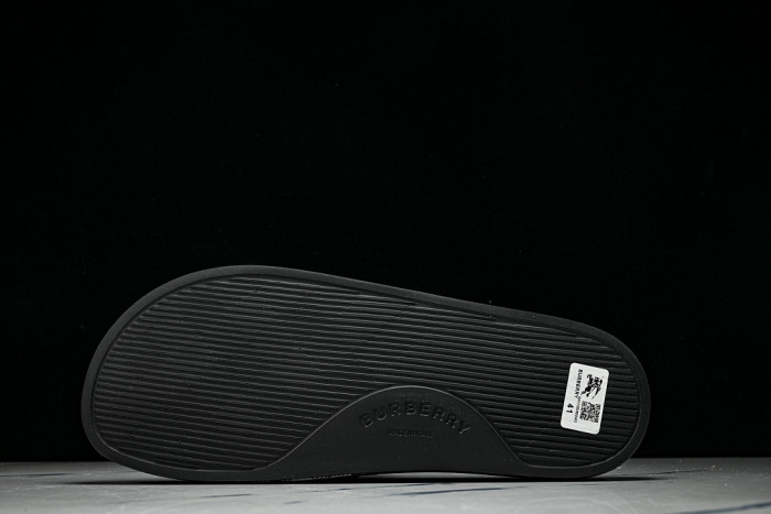 BUR ** slides BUR-428030