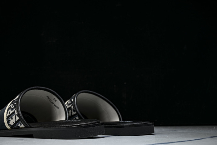 D10r SLIPPERS DS258-094