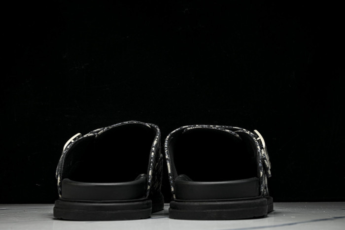 D10r SLIPPERS DS258-099