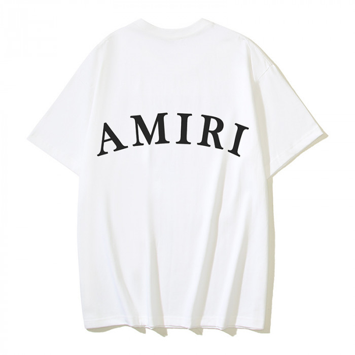 am1r1 am229-043