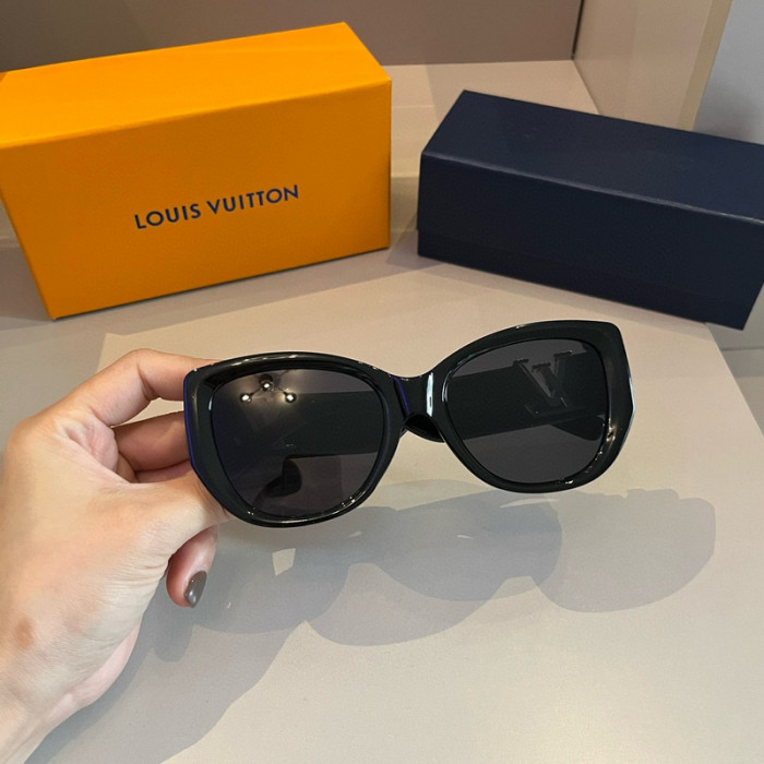 sunglasses SG0410-023