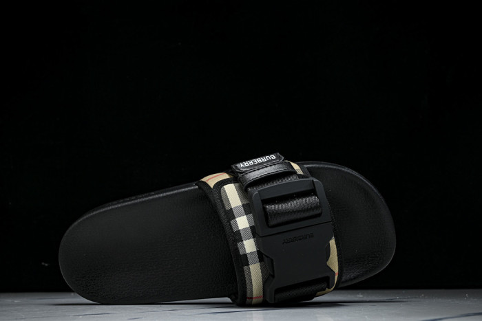 BUR ** slides BUR-428029
