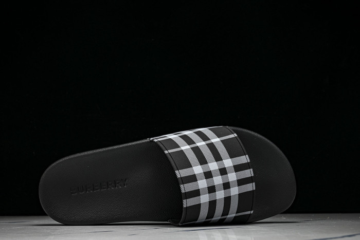 BUR ** slides BUR-428030