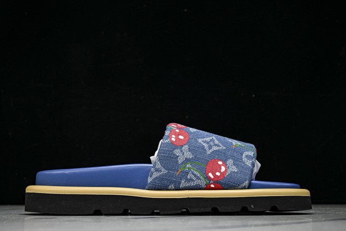 1*V SLIPPERS 11V0107-096