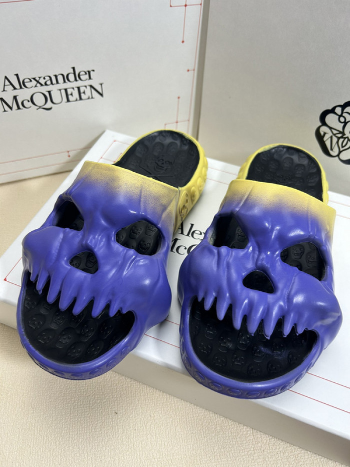maq slides mcs-003