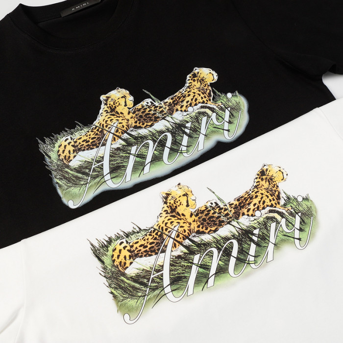 am1r1 am229-019