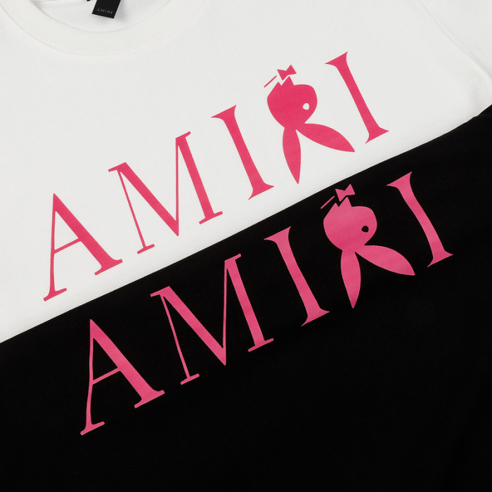 am1r1 am229-028