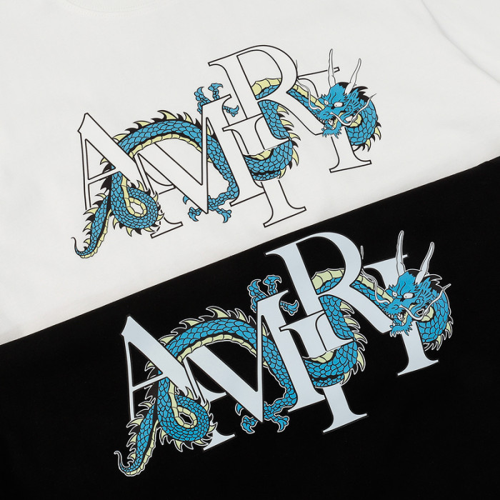 am1r1 am229-033