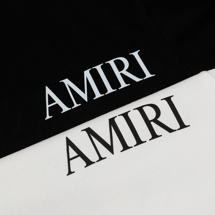 am1r1 am229-038