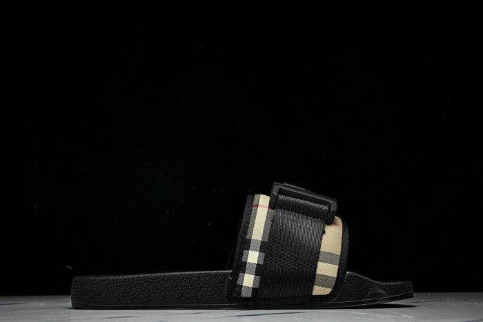 BUR ** slides BUR-428029