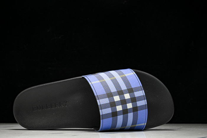 BUR ** slides BUR-428031