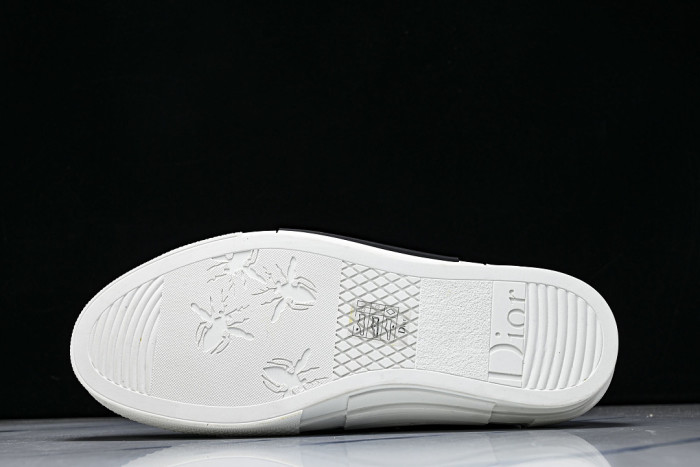 D10R B23 Sneakers DR1256-5605