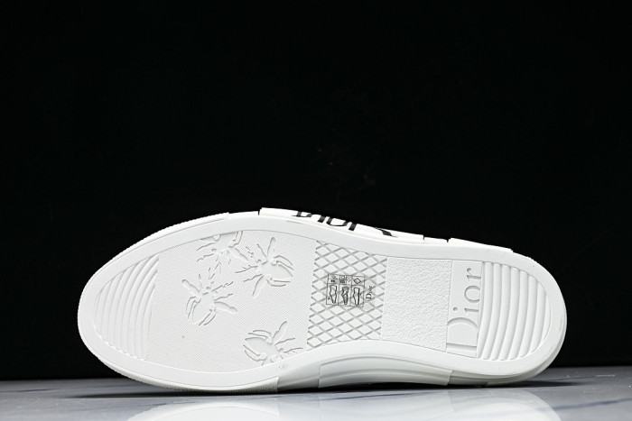 D10R B23 Sneakers DR1256-5618