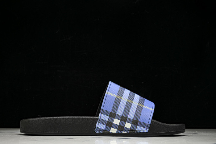 BUR ** slides BUR-428031