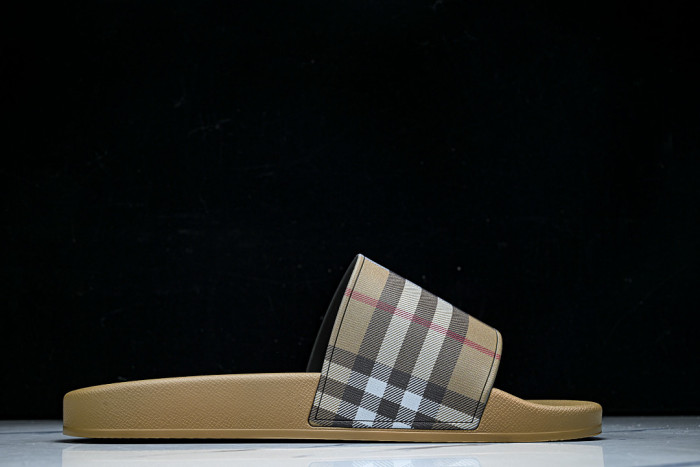 BUR ** slides BUR-428032