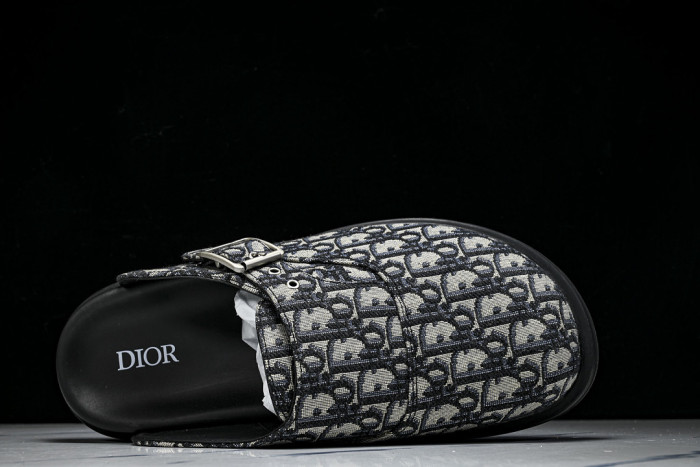 D10r SLIPPERS DS258-099
