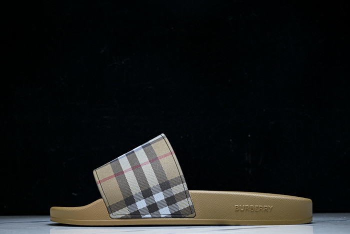 BUR ** slides BUR-428032
