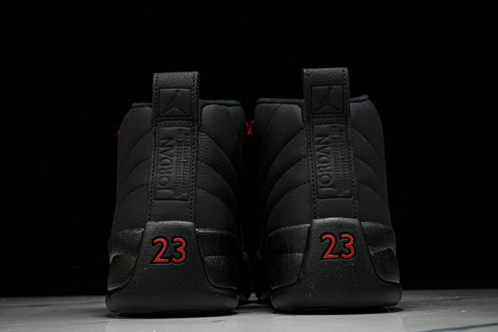 Air Jordan 12 Retro 
