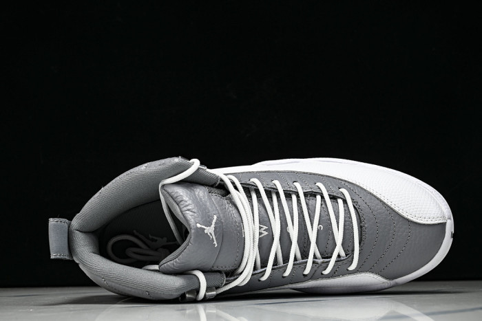 Air Jordan 12 Stealth/White-Cool Grey CT8013-015