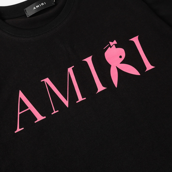 am1r1 am229-028