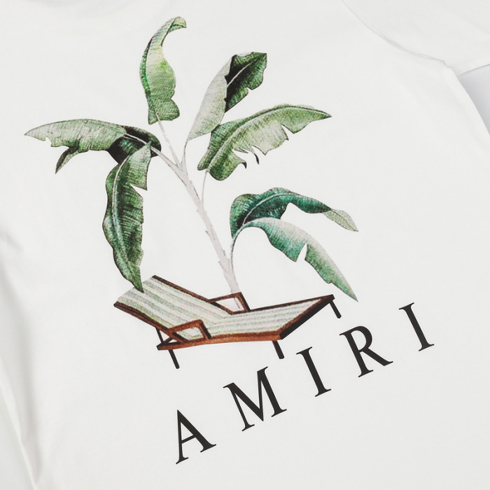 am1r1 am229-037