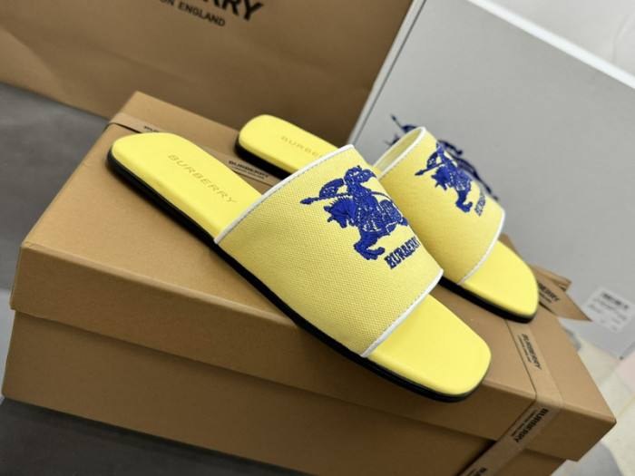 bur ** slides bur-428011