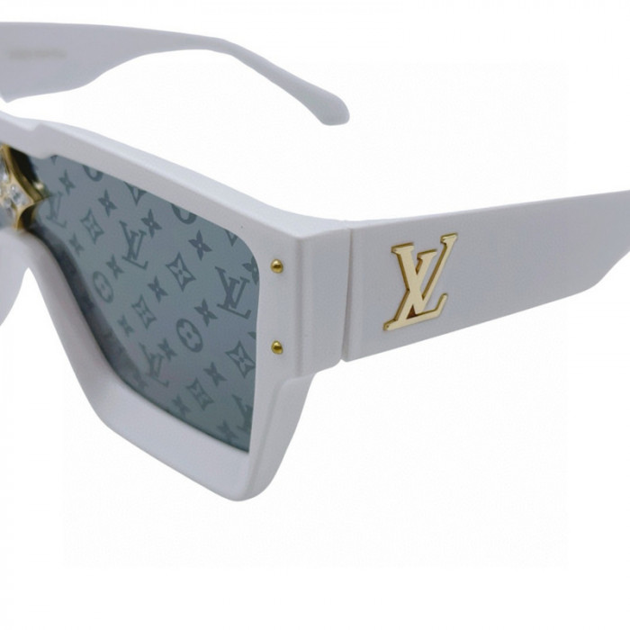 sunglasses SG0410-009
