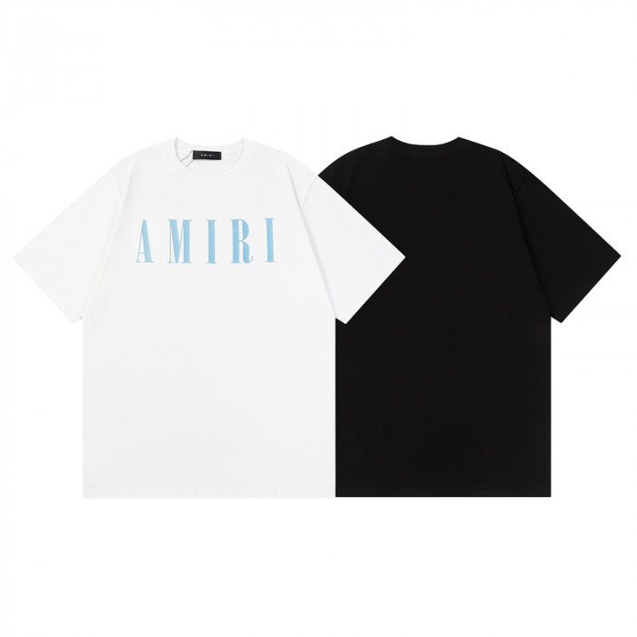 am1r1 am229-031
