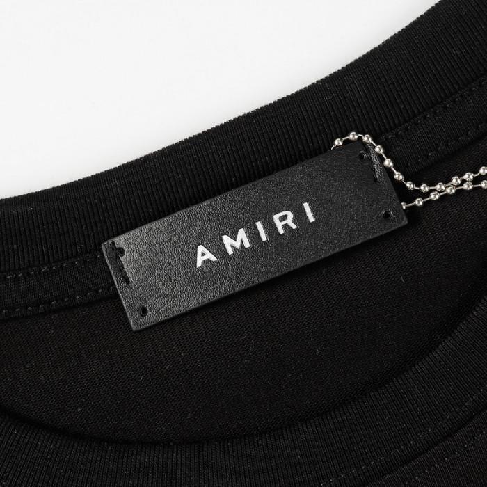 am1r1 am229-024