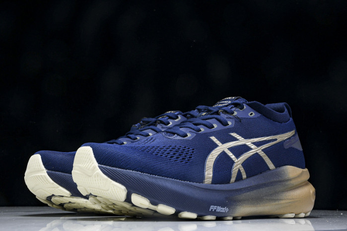 As1cs Gel-Kayano 1203A719-248