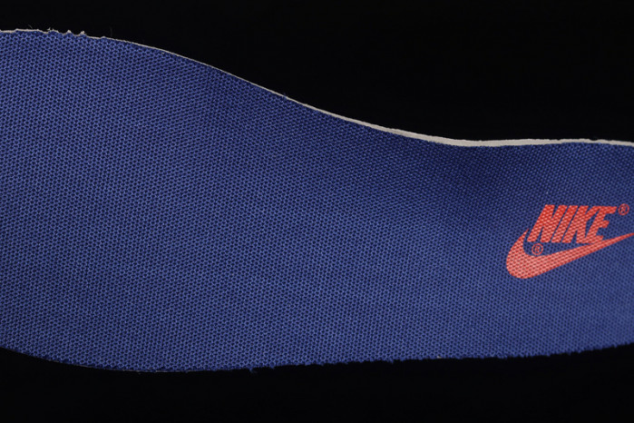 nba x dunk low emb
