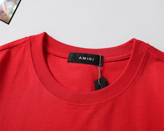 am1r1 am229-008