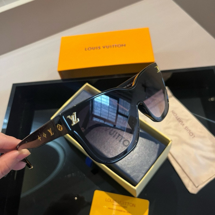 sunglasses SG0410-024