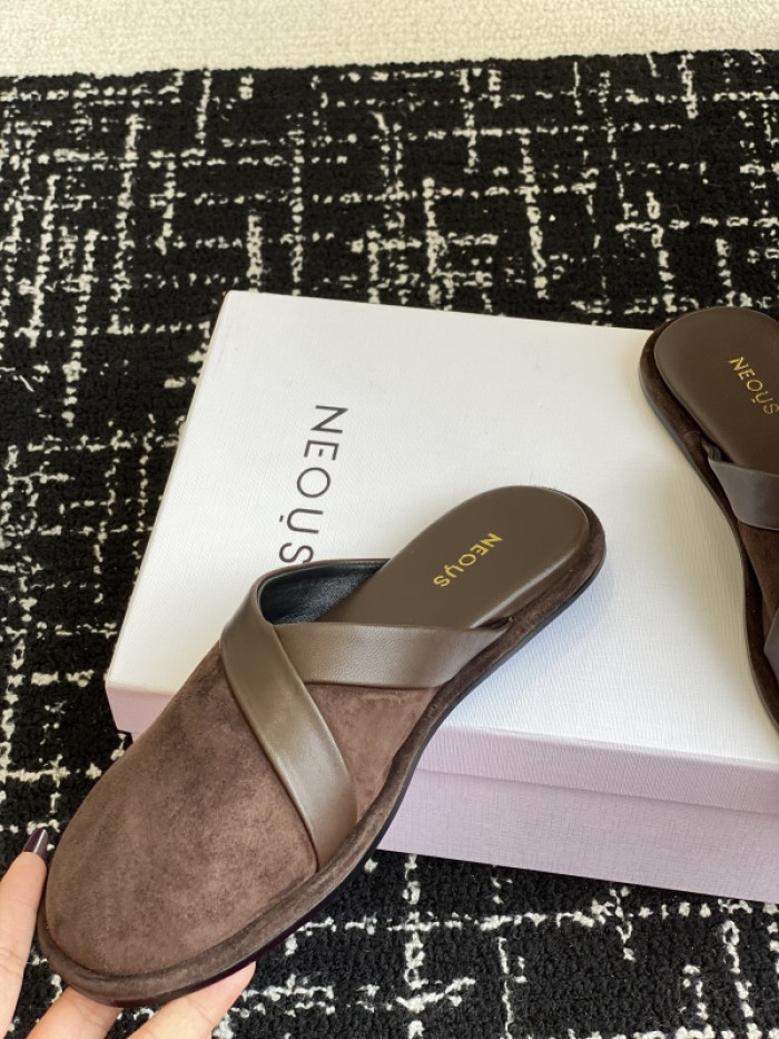 NEOUS Slides OT0104-032