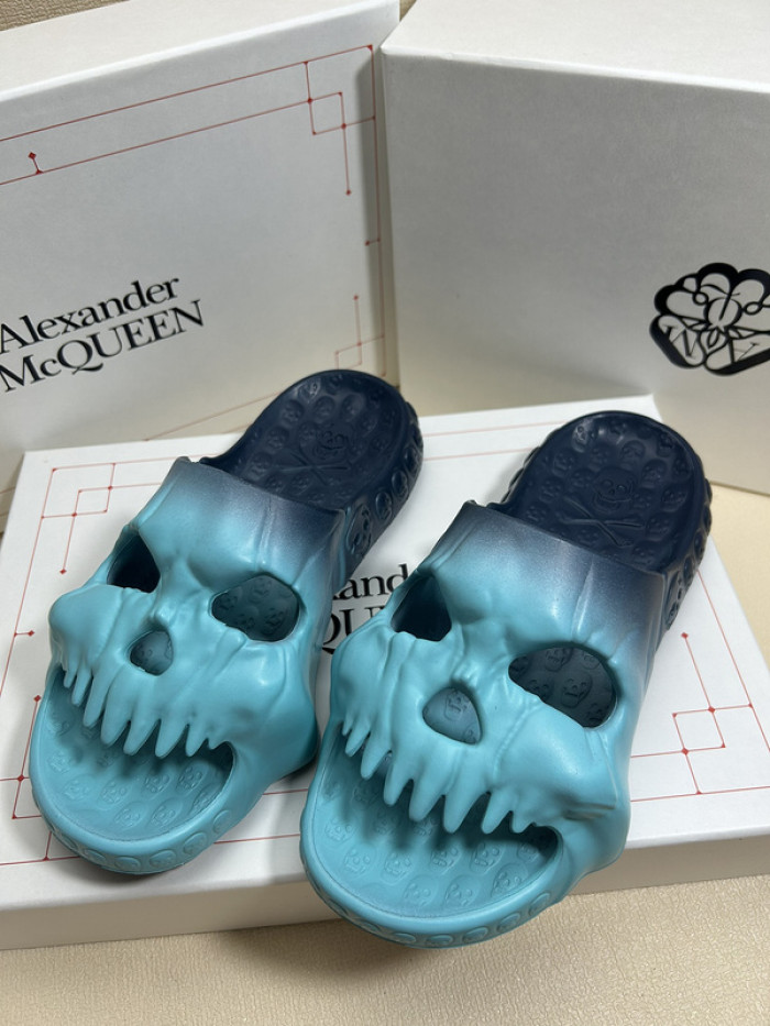 maq slides mcs-004