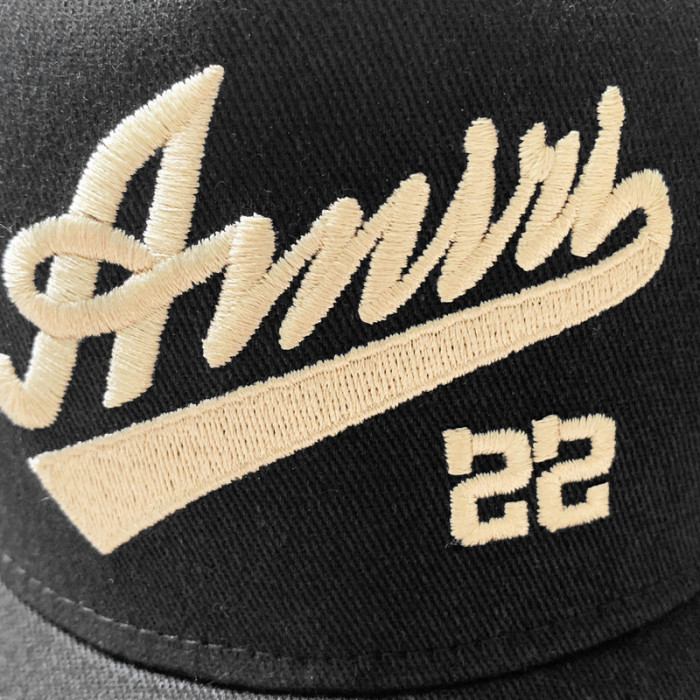 am1r1 am229-061
