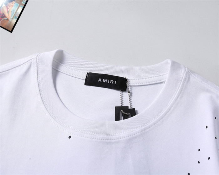 am1r1 am229-009