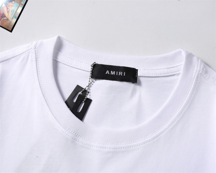am1r1 am229-010