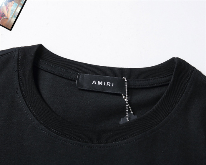 am1r1 am229-011