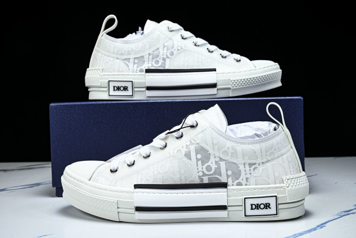 D10R B23 Sneakers DR1256-5613