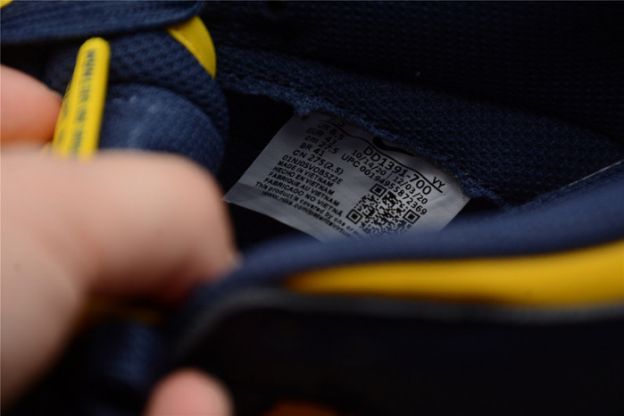 nike dunk low michigan dd1391-700