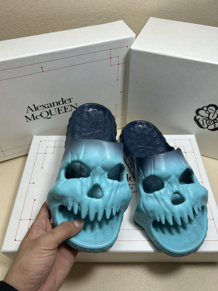 maq slides mcs-004
